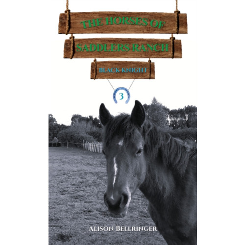 Austin Macauley Publishers The Horses of Saddlers Ranch: Black Knight (häftad, eng)