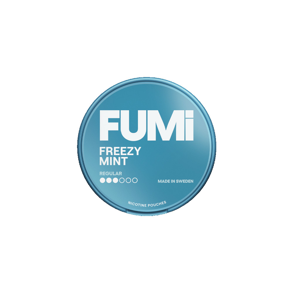 Produktbild för FUMi Freezy Mint Regular  10-pack
