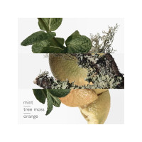Produktbild för Hermes Eau d''Orange Verte, Män, 50 ml, Engångsflaska, Alkoh...