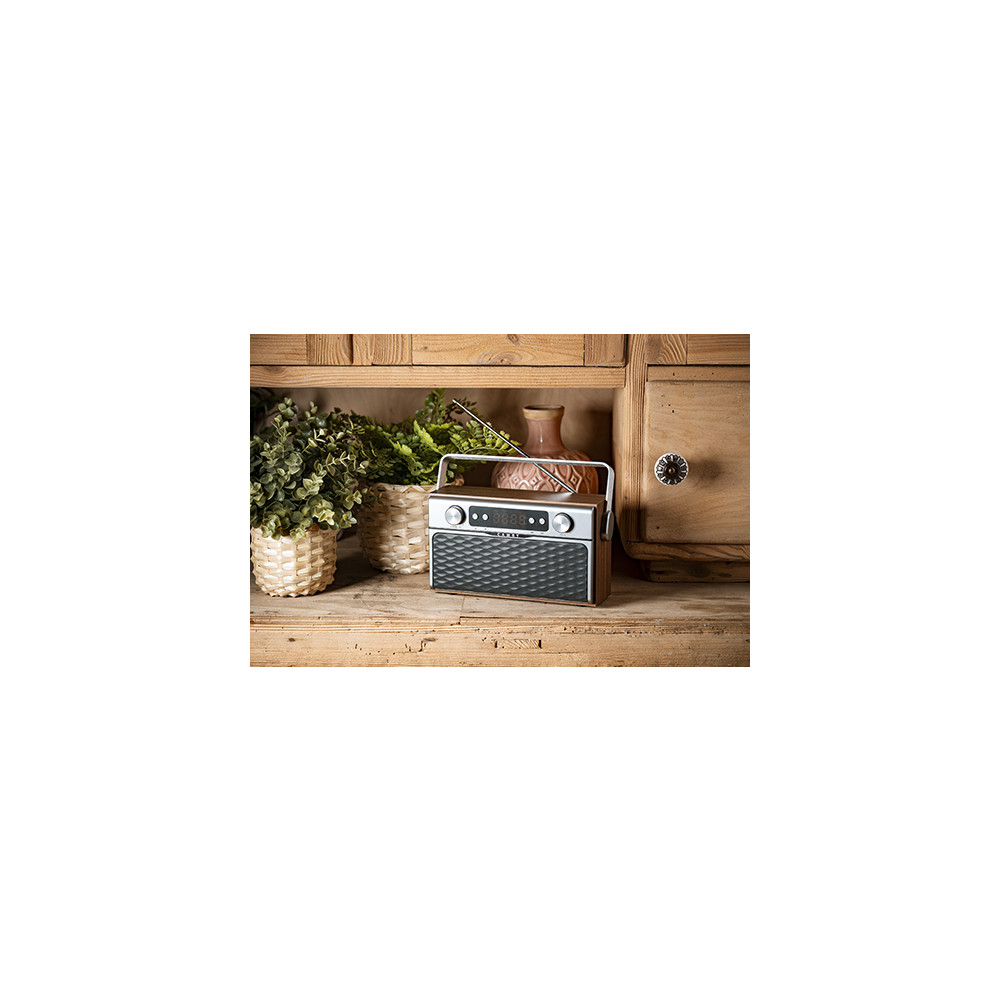 Produktbild för Camry CR 1183 - personlig radio - flashminneskort, Bluetooth
