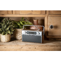 Produktbild för Camry CR 1183 - personlig radio - flashminneskort, Bluetooth