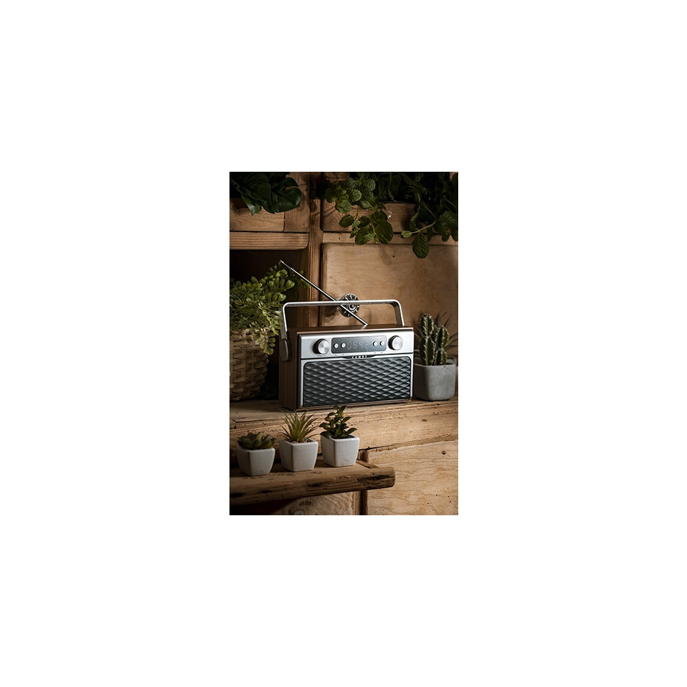 Produktbild för Camry CR 1183 - personlig radio - flashminneskort, Bluetooth