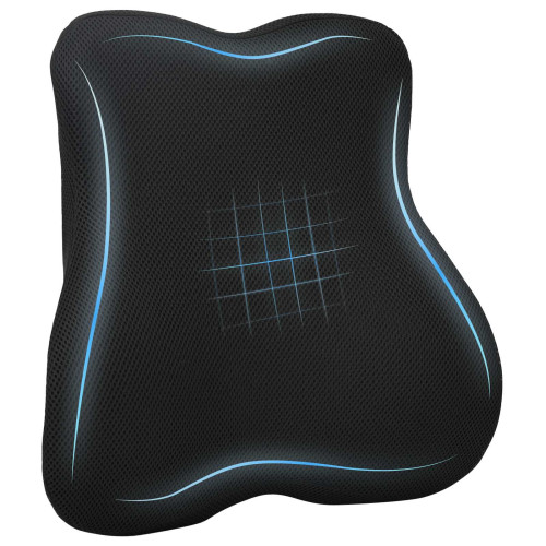 vidaXL Ryggkudde Svart Minneskum 40 x 40 x 11 cm