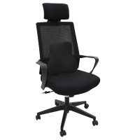 Produktbild för Ryggkudde Svart Minneskum 40 x 40 x 11 cm