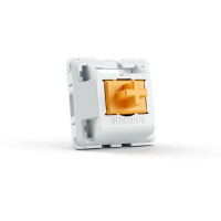 Produktbild för Glorious PC Gaming Race Panda, Orange, Vit, 36 styck, Monter...