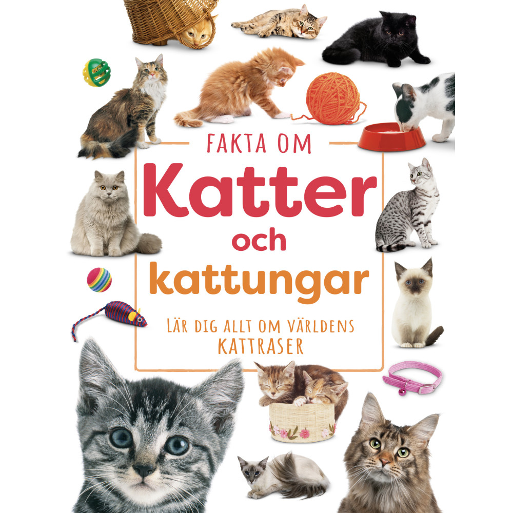 Produktbild för Fakta om katter och kattungar : lär dig allt om världens kattraser (inbunden)