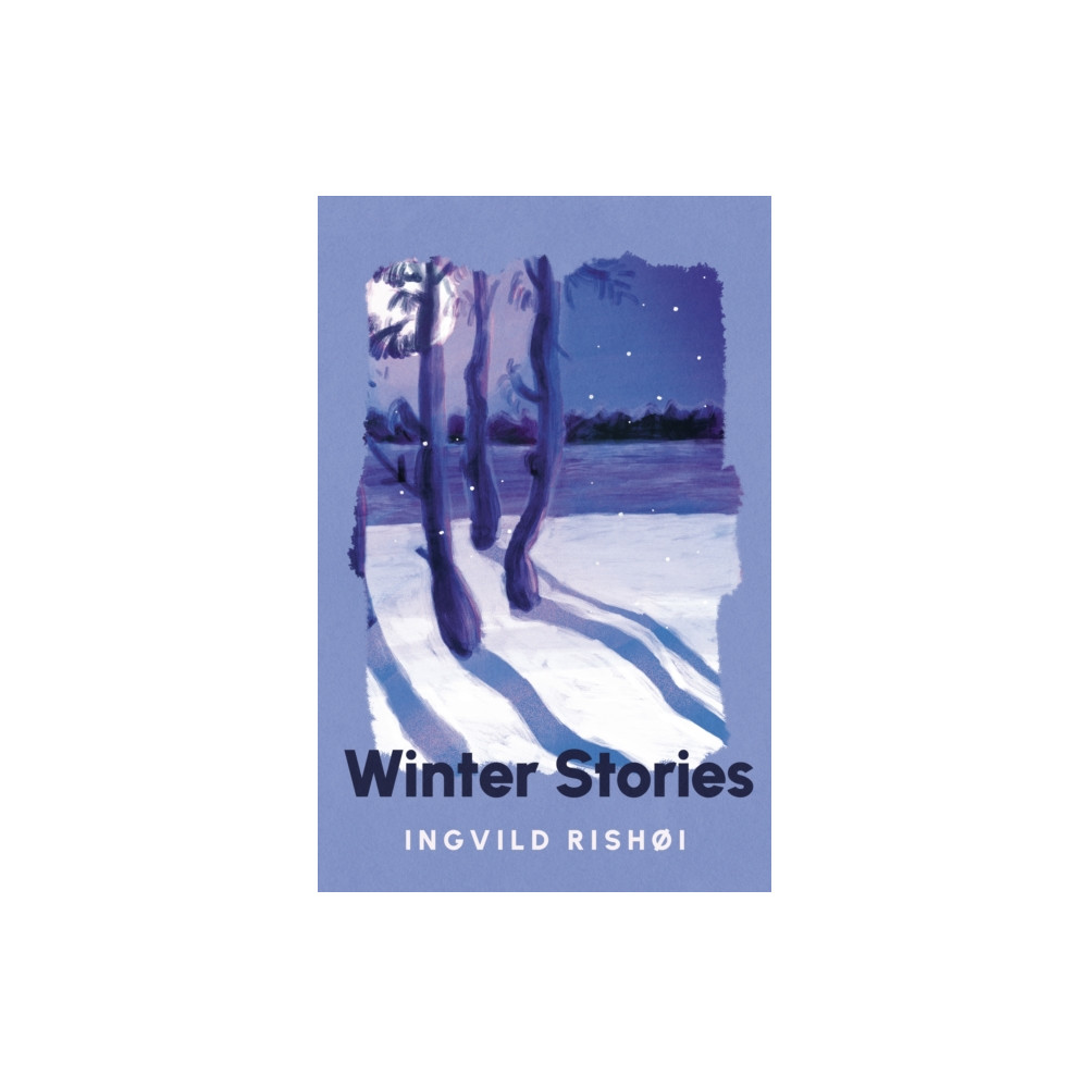 Produktbild för Winter Stories (inbunden, eng)