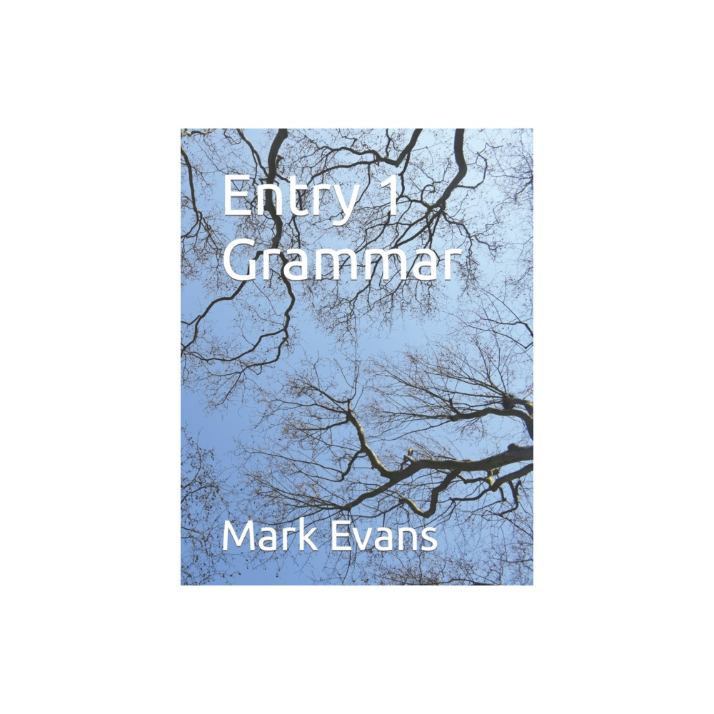 Produktbild för Entry 1 Grammar (häftad, eng)