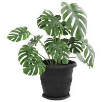 Produktbild för Rund Blomkruka 24 pcs Svart Ø 23,5 x 2,5 cm Plast
