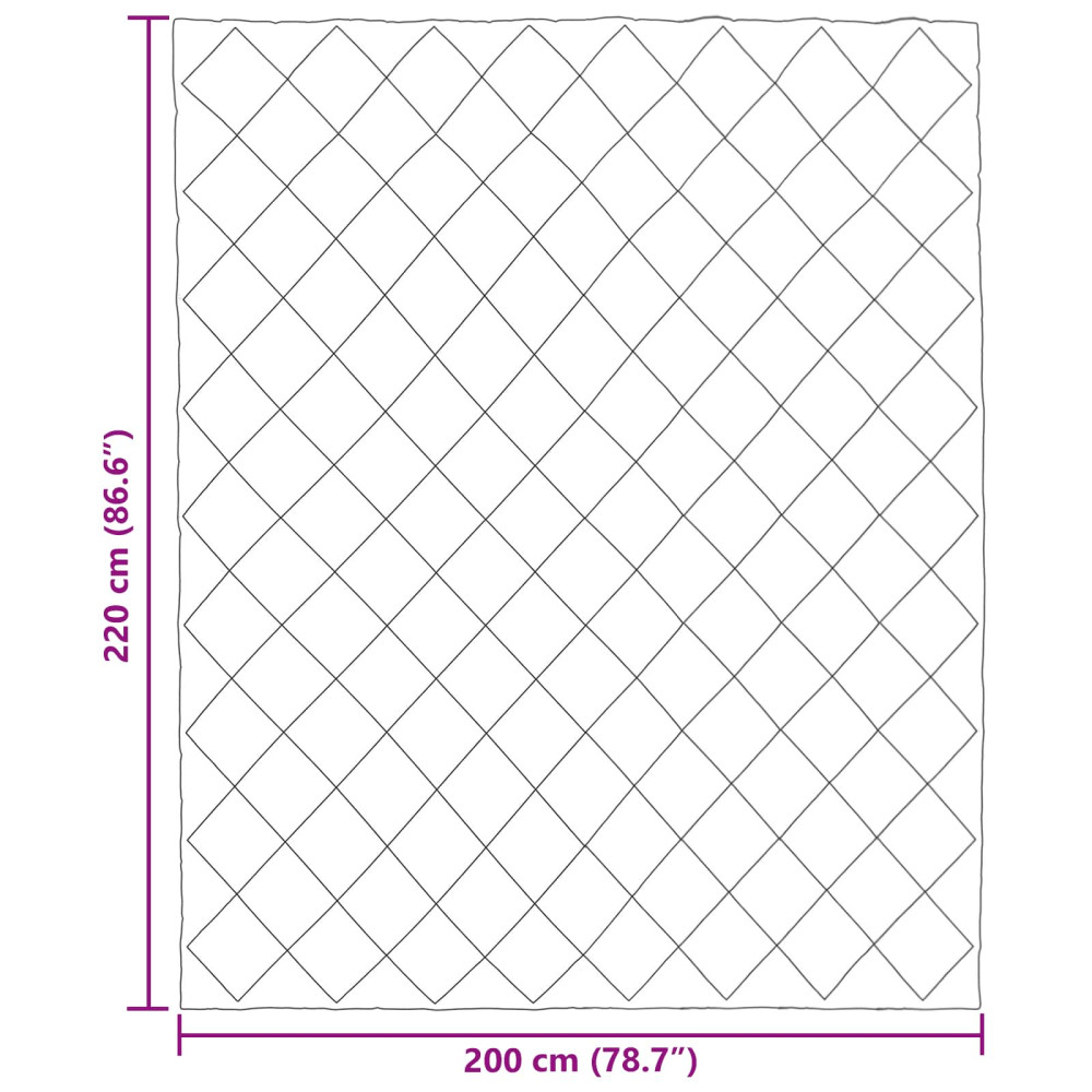 Produktbild för Vinter Täcke Svart 200 x 220 cm Mikrofiber