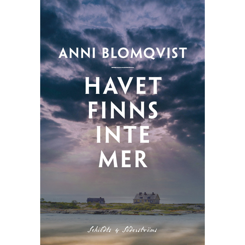 Produktbild för Havet finns inte mer (häftad)