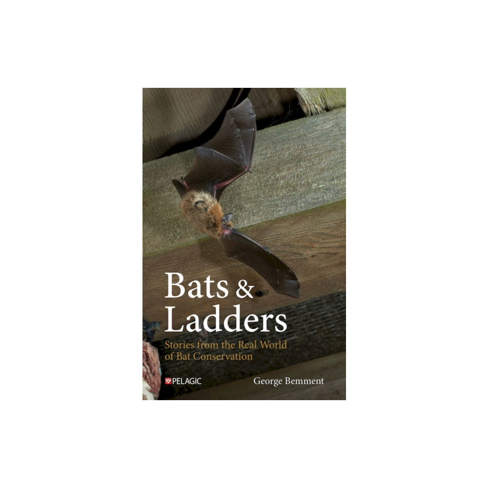 Produktbild för Bats & Ladders (inbunden, eng)