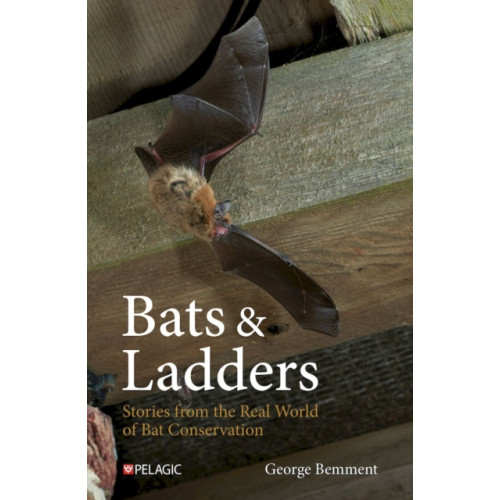 Pelagic Publishing Bats & Ladders (inbunden, eng)