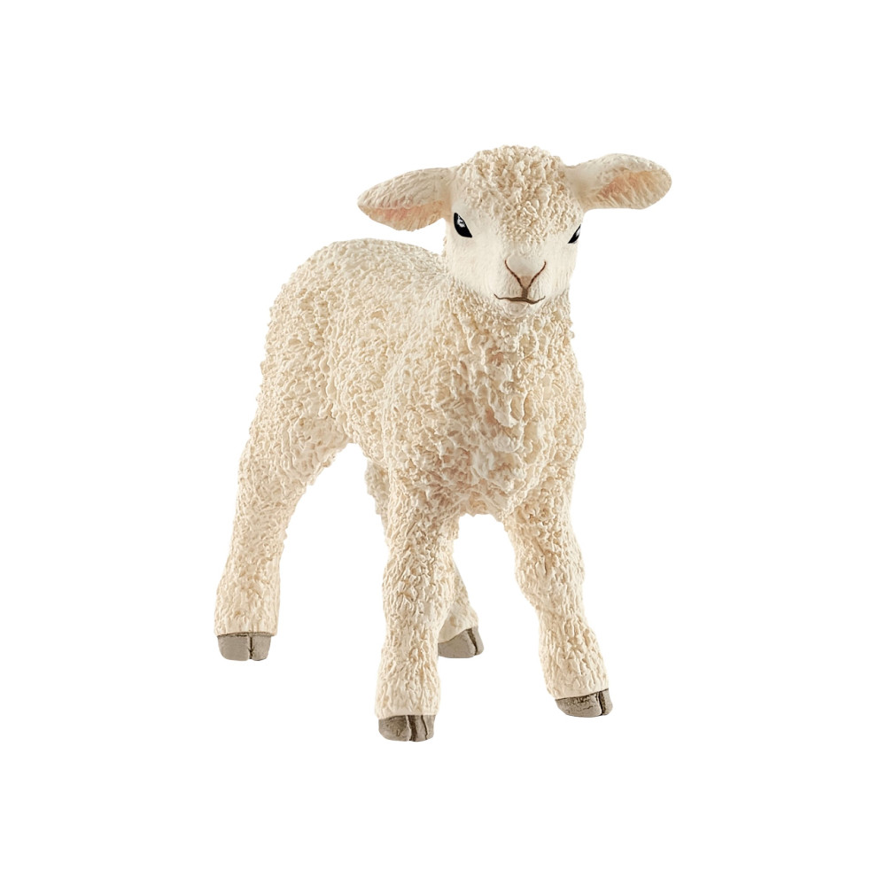 Produktbild för Schleich Farm World - lamm