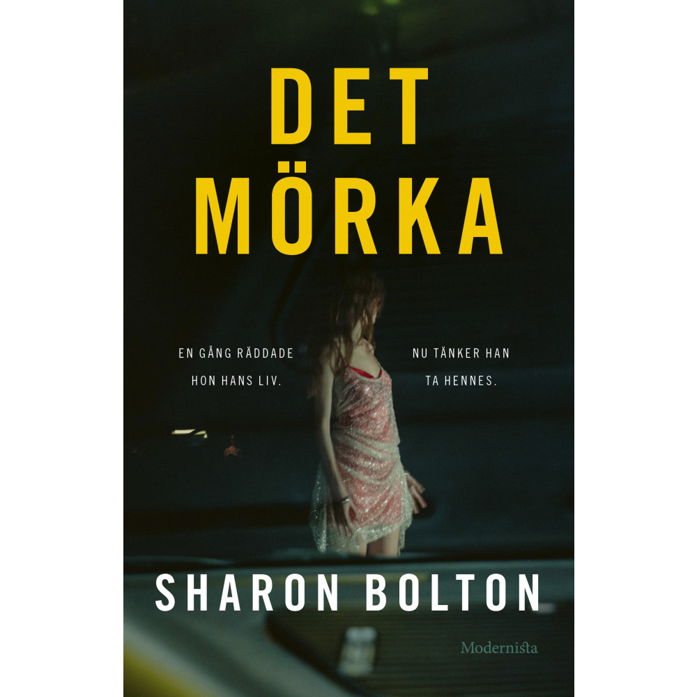 Produktbild för Det mörka (inbunden)