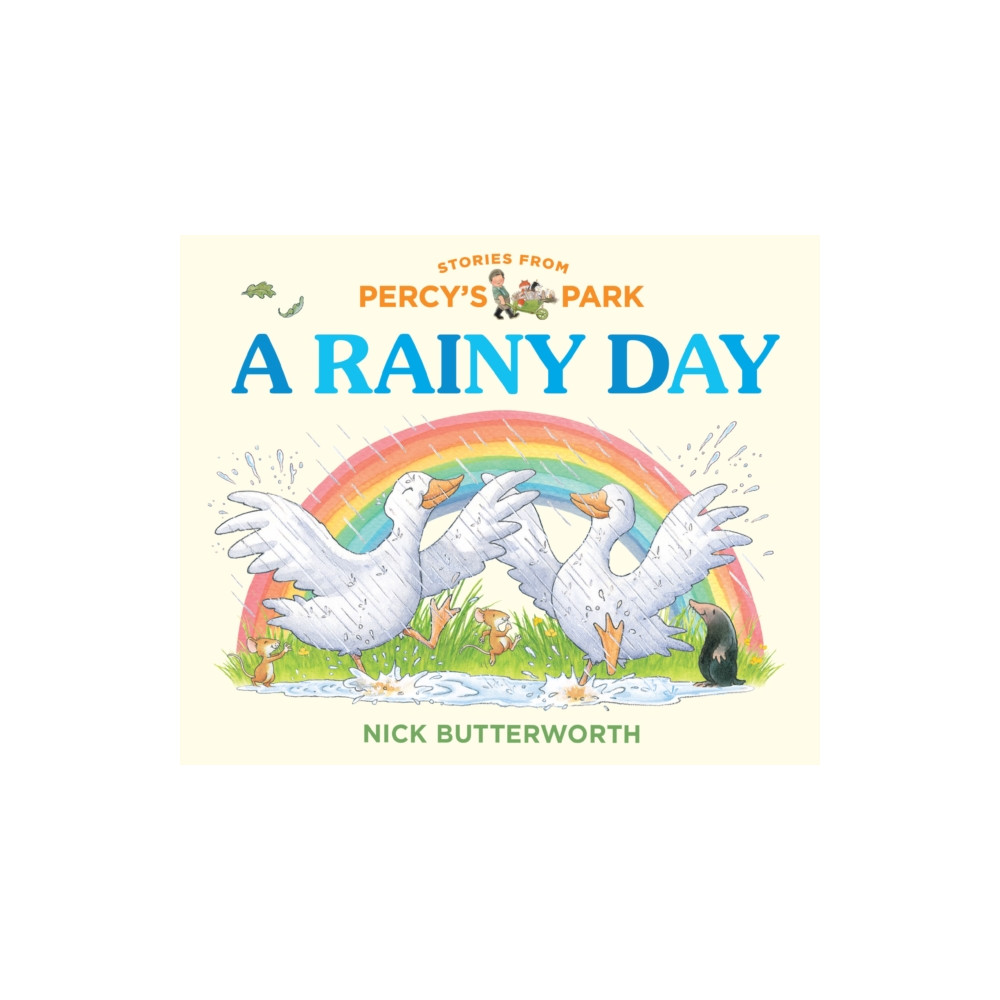 Produktbild för A Rainy Day (bok, board book, eng)