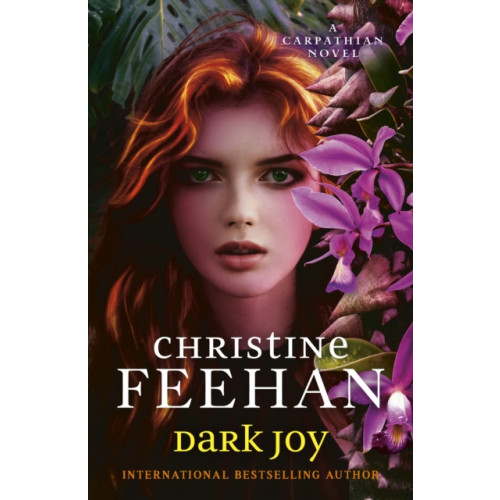 Little, Brown Book Group Dark Joy (inbunden, eng)