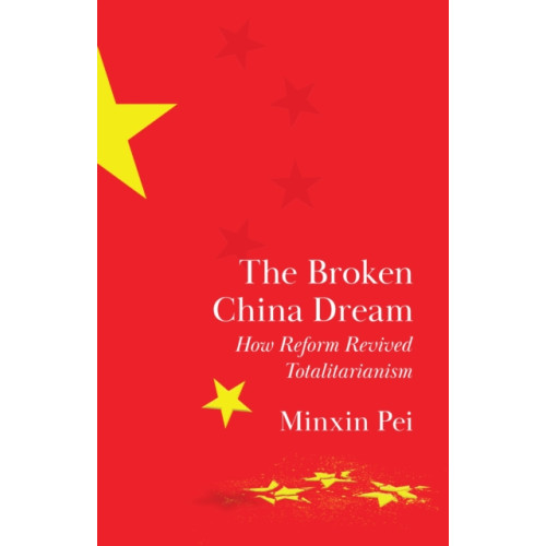Princeton University Press The Broken China Dream (inbunden, eng)