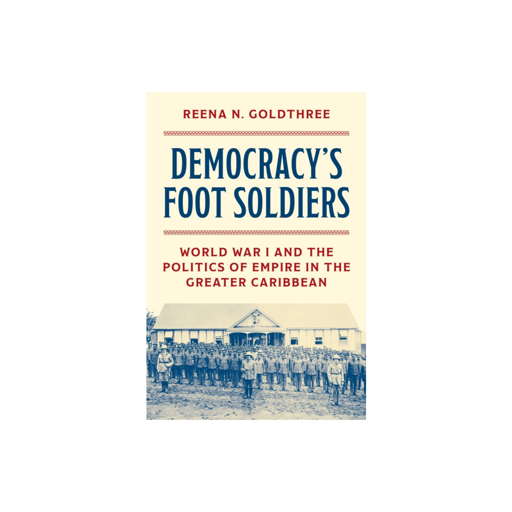 Produktbild för Democracy’s Foot Soldiers (inbunden, eng)