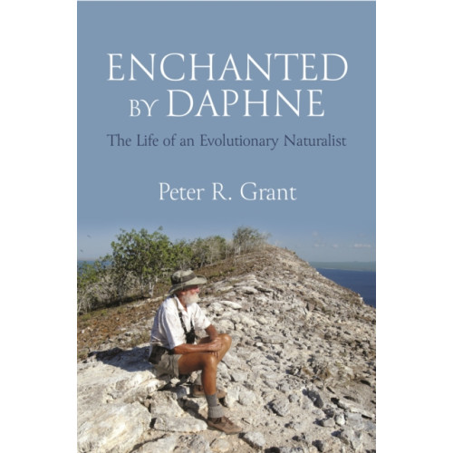 Princeton University Press Enchanted by Daphne (häftad, eng)