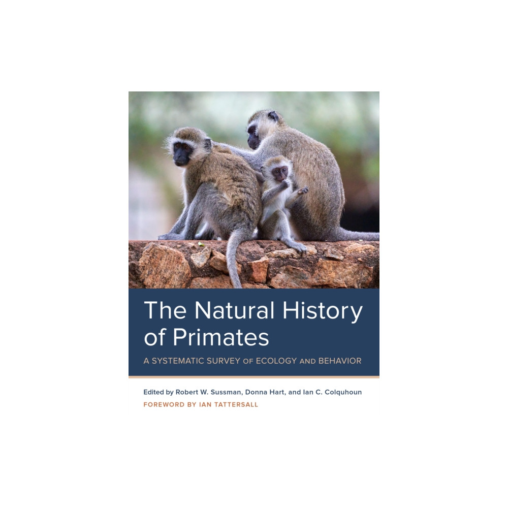 Produktbild för The Natural History of Primates (häftad, eng)