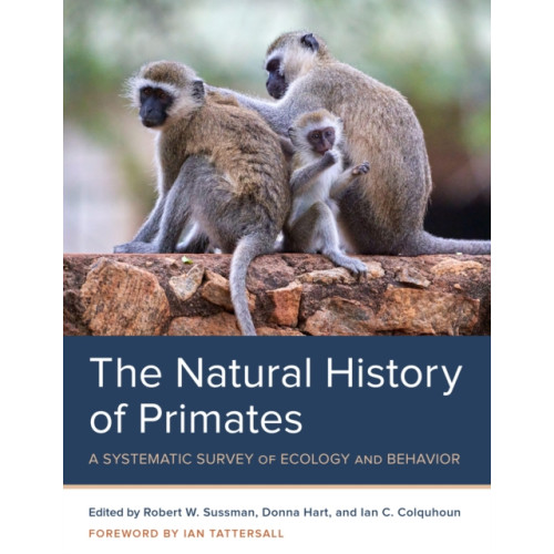 Bloomsbury Publishing PLC The Natural History of Primates (häftad, eng)