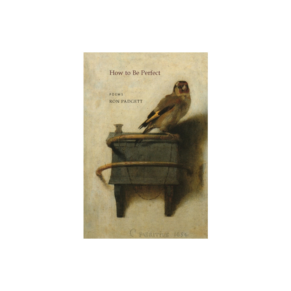 Produktbild för How to Be Perfect (häftad, eng)