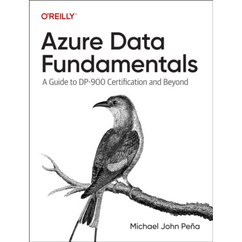 O'Reilly Media Azure Data Fundamentals (häftad, eng)