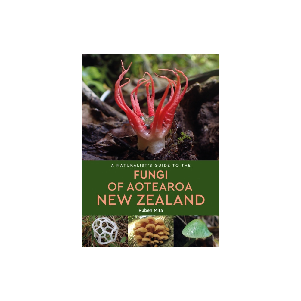 Produktbild för A Naturalist's Guide to the Fungi of Aotearoa New Zealand (häftad, eng)