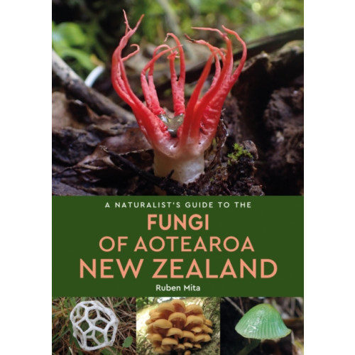 John Beaufoy Publishing Ltd A Naturalist's Guide to the Fungi of Aotearoa New Zealand (häftad, eng)