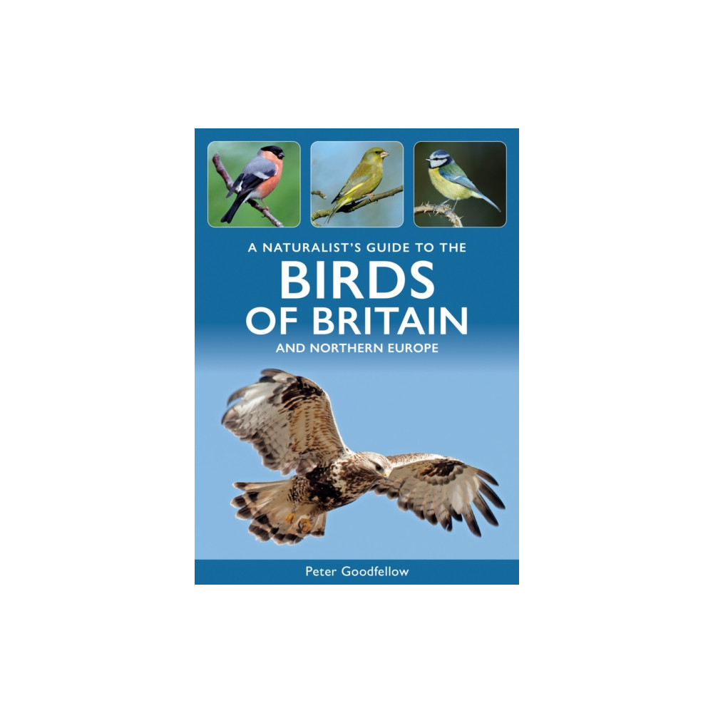 Produktbild för A Naturalist's Guide to the Birds of Britain and Northern Europe (häftad, eng)