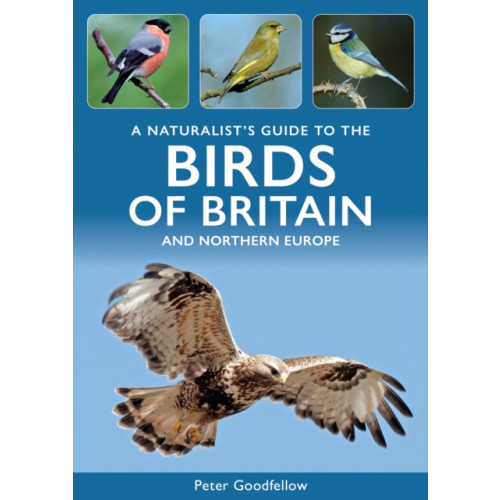 John Beaufoy Publishing Ltd A Naturalist's Guide to the Birds of Britain and Northern Europe (häftad, eng)