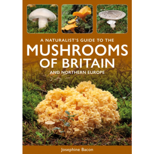 John Beaufoy Publishing Ltd A Naturalist's Guide to the Mushrooms of Britain and Northern Europe (häftad, eng)