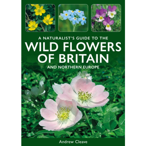 John Beaufoy Publishing Ltd A Naturalist's Guide to the Wild Flowers of Britain and Northern Europe (häftad, eng)