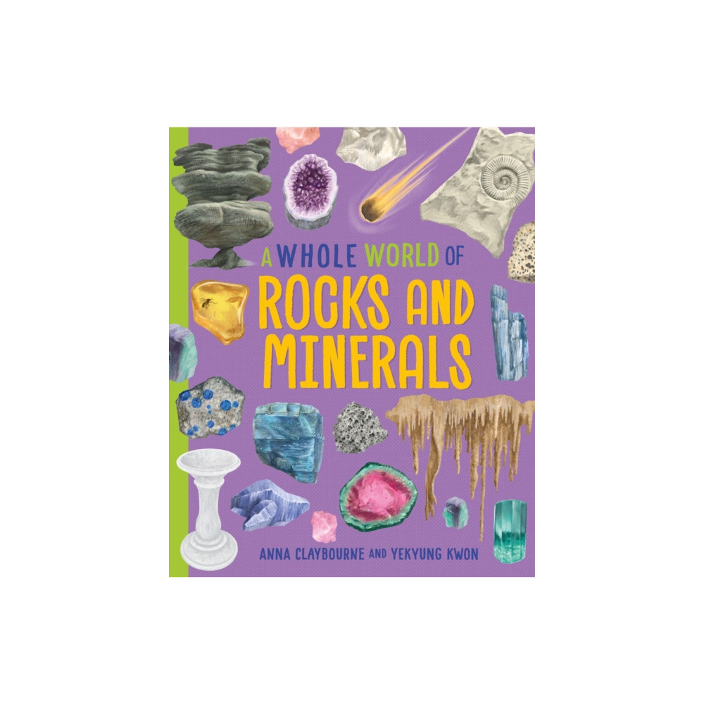 Produktbild för A Whole World of...: Rocks and Minerals (häftad, eng)