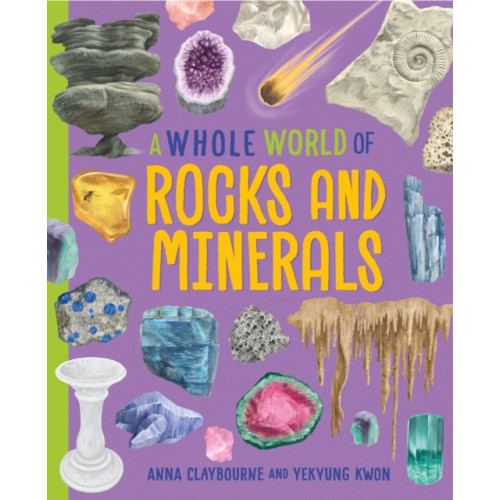 Hachette Children's Group A Whole World of...: Rocks and Minerals (häftad, eng)