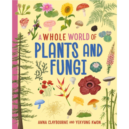 Hachette Children's Group A Whole World of...: Plants and Fungi (häftad, eng)