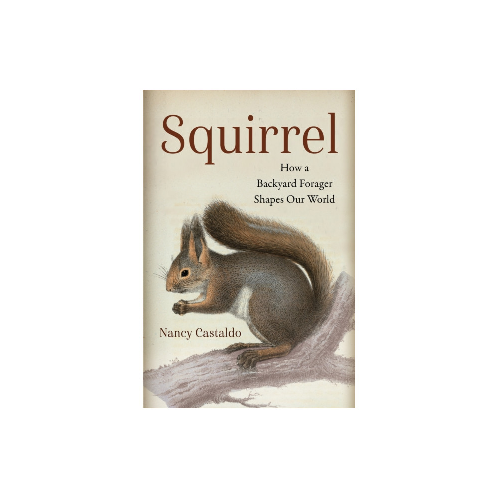 Produktbild för Squirrel (inbunden, eng)
