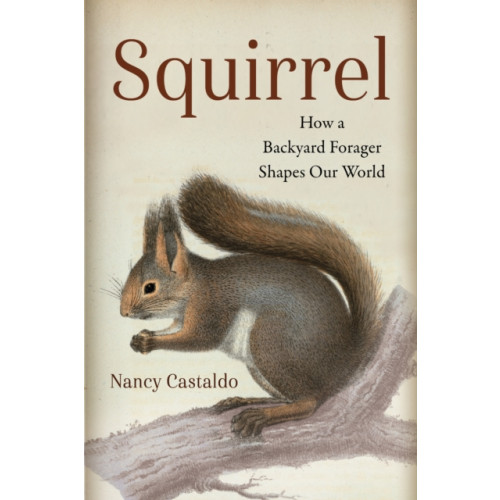 Princeton University Press Squirrel (inbunden, eng)