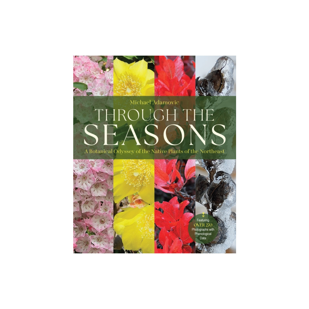 Produktbild för Through the Seasons (häftad, eng)