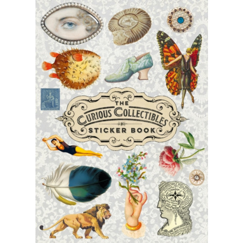 Thames & Hudson Ltd The Curious Collections Sticker Book (häftad, eng)