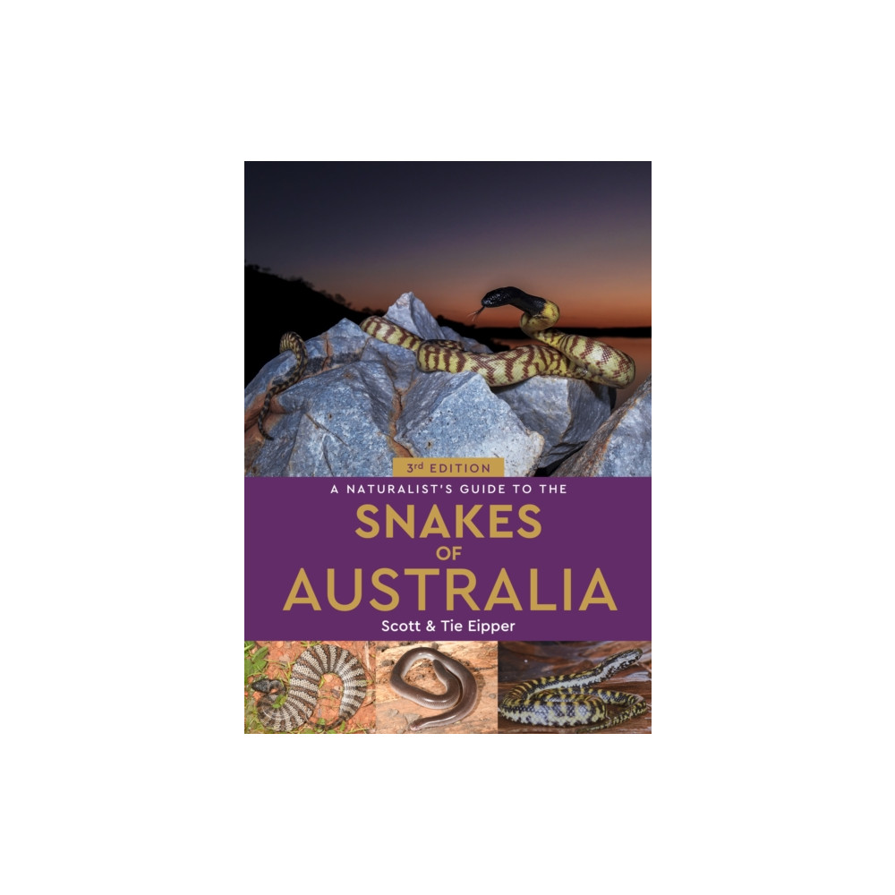 Produktbild för A Naturalist's Guide to the Snakes of Australia (häftad, eng)