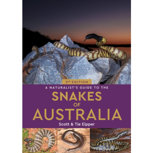 John Beaufoy Publishing Ltd A Naturalist's Guide to the Snakes of Australia (häftad, eng)