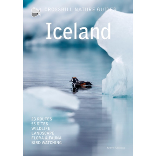 Crossbill Guides Foundation Iceland (häftad, eng)