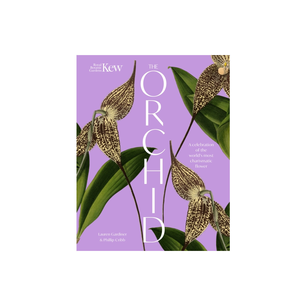 Produktbild för The Orchid (inbunden, eng)