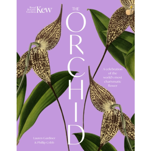 Headline Publishing Group The Orchid (inbunden, eng)