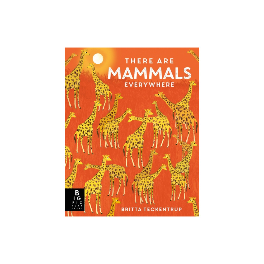 Produktbild för There are Mammals Everywhere (häftad, eng)