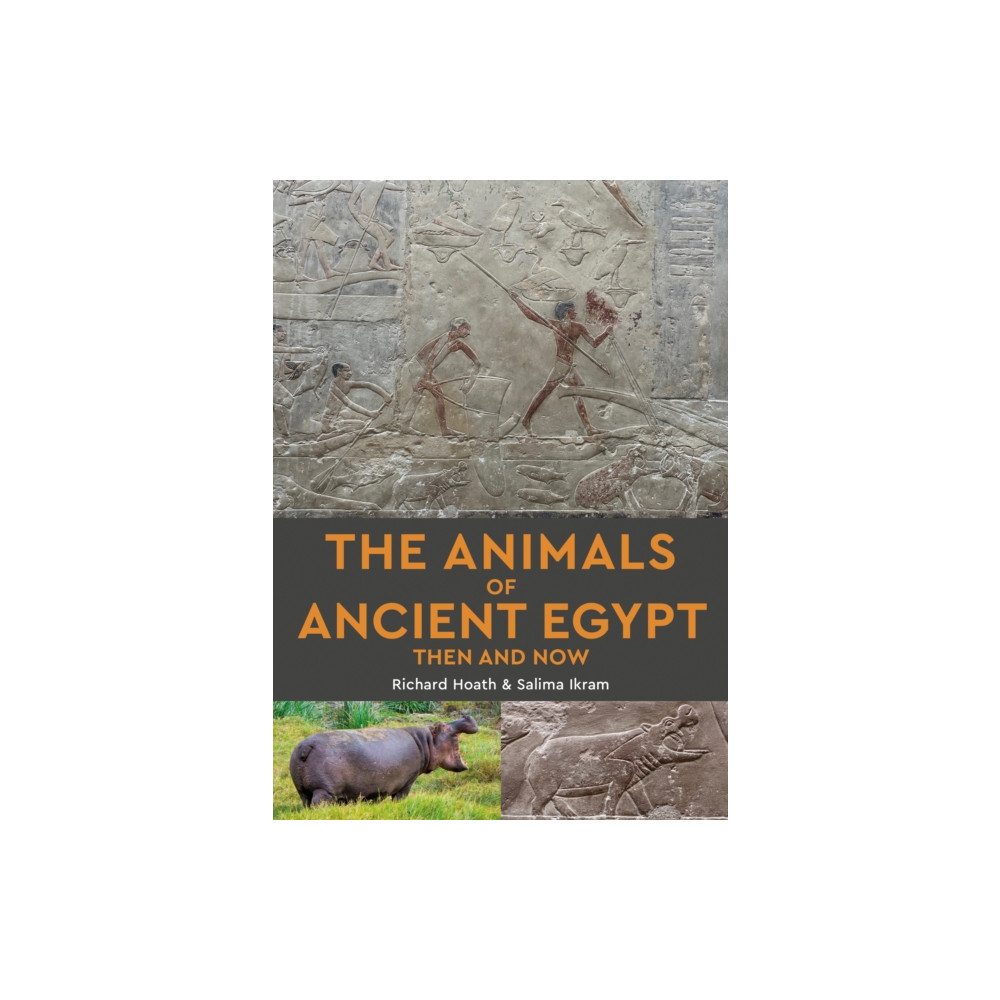 Produktbild för The Animals of Ancient Egypt Then and Now (häftad, eng)