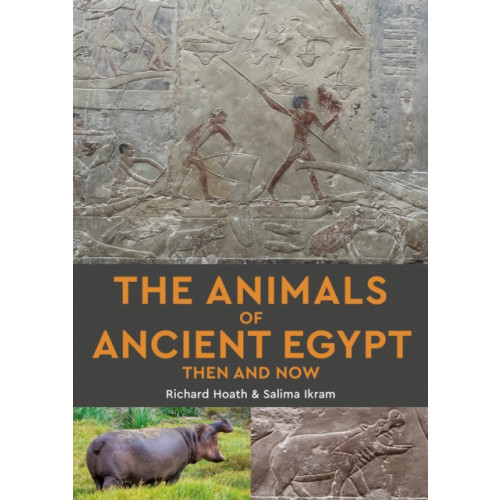 John Beaufoy Publishing Ltd The Animals of Ancient Egypt Then and Now (häftad, eng)