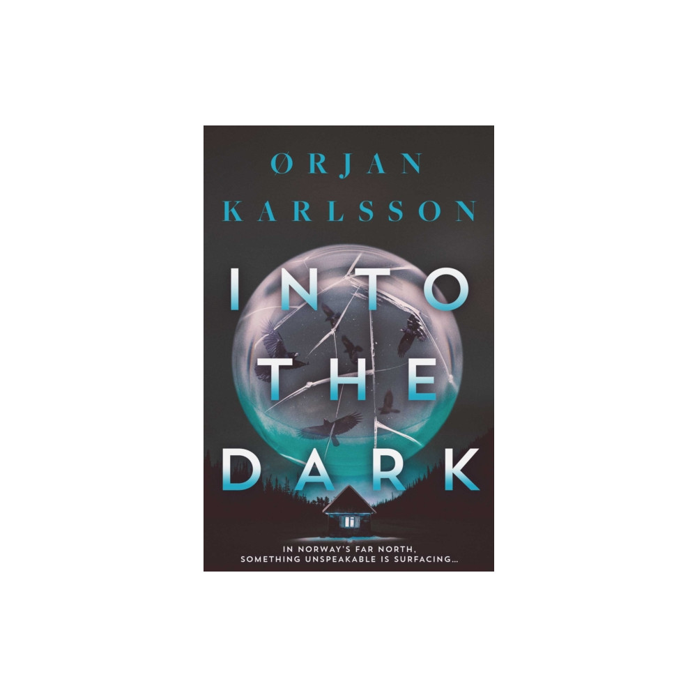 Produktbild för Into The Dark (häftad, eng)